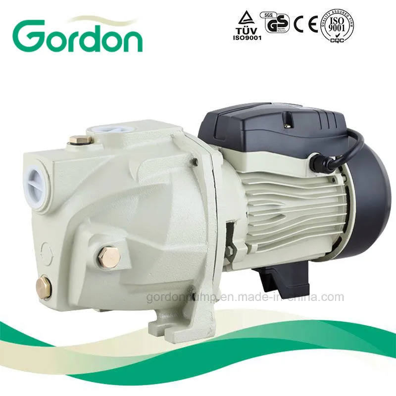 Bomba de jardín (JDP